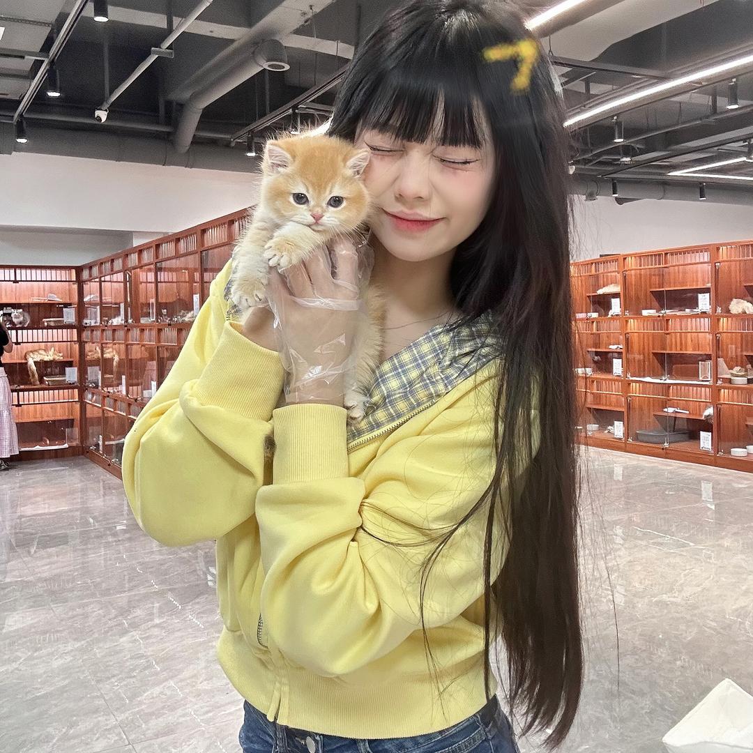 小青（壮实说猫）