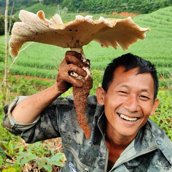 普洱李双云家农场