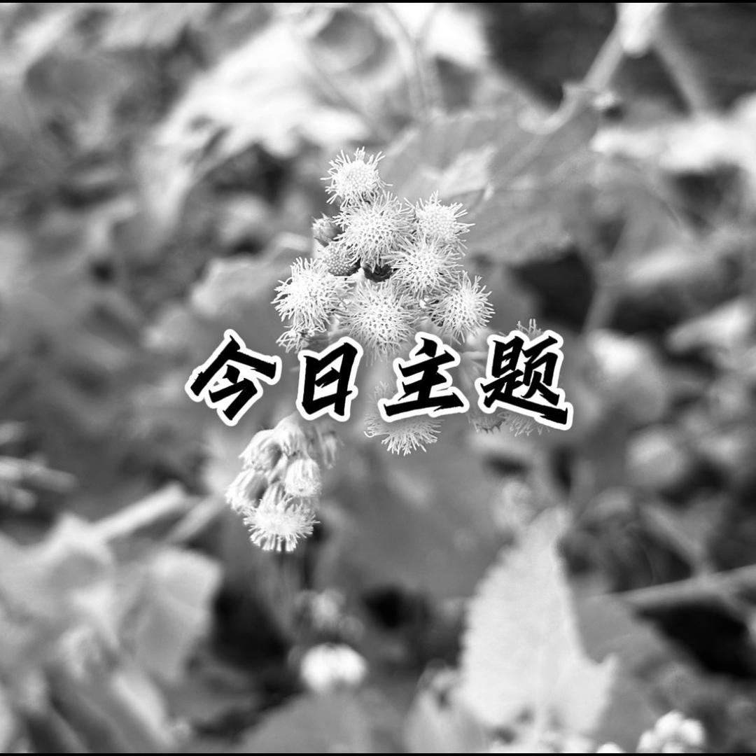今日主题
