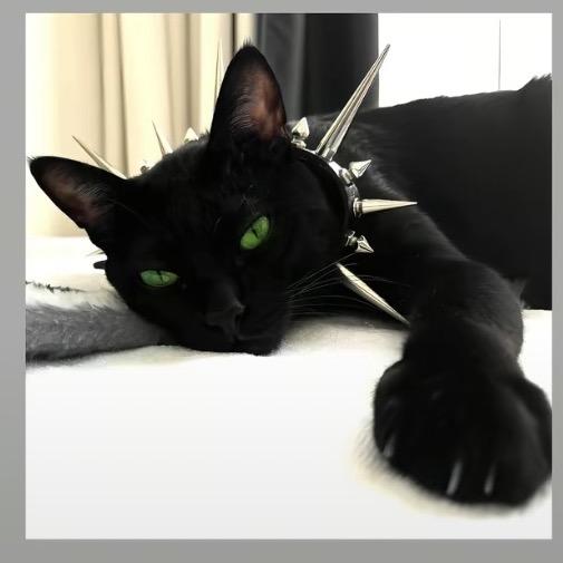 我这一生如绿豆冰