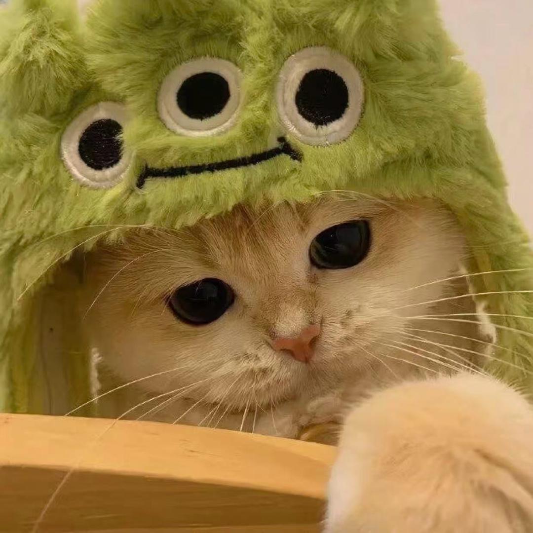 喵里个喵