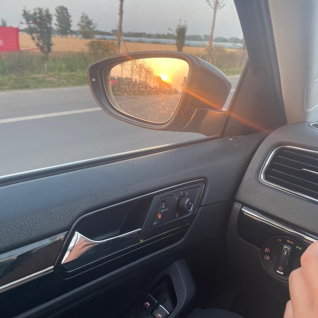 沙漠里的仙人掌