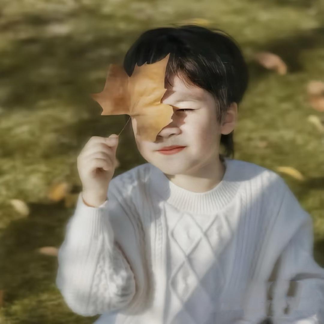 西顾X