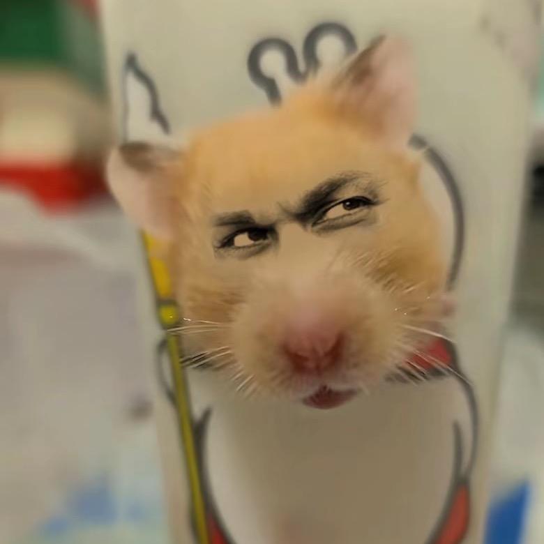 口语老丢东
