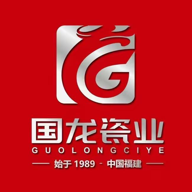国龙防脱落外墙砖（室内砖）