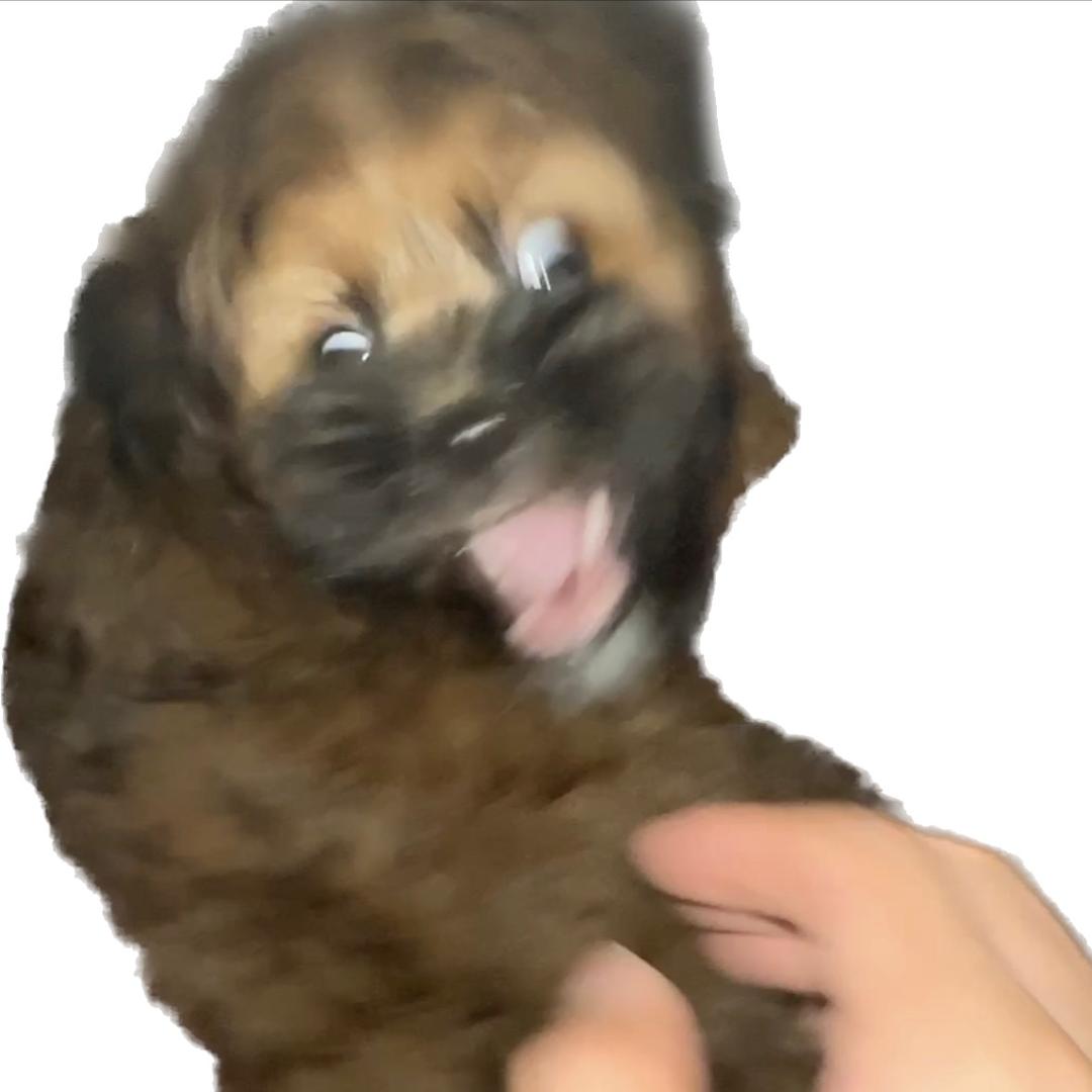 🌈不摸到340不改名🌈