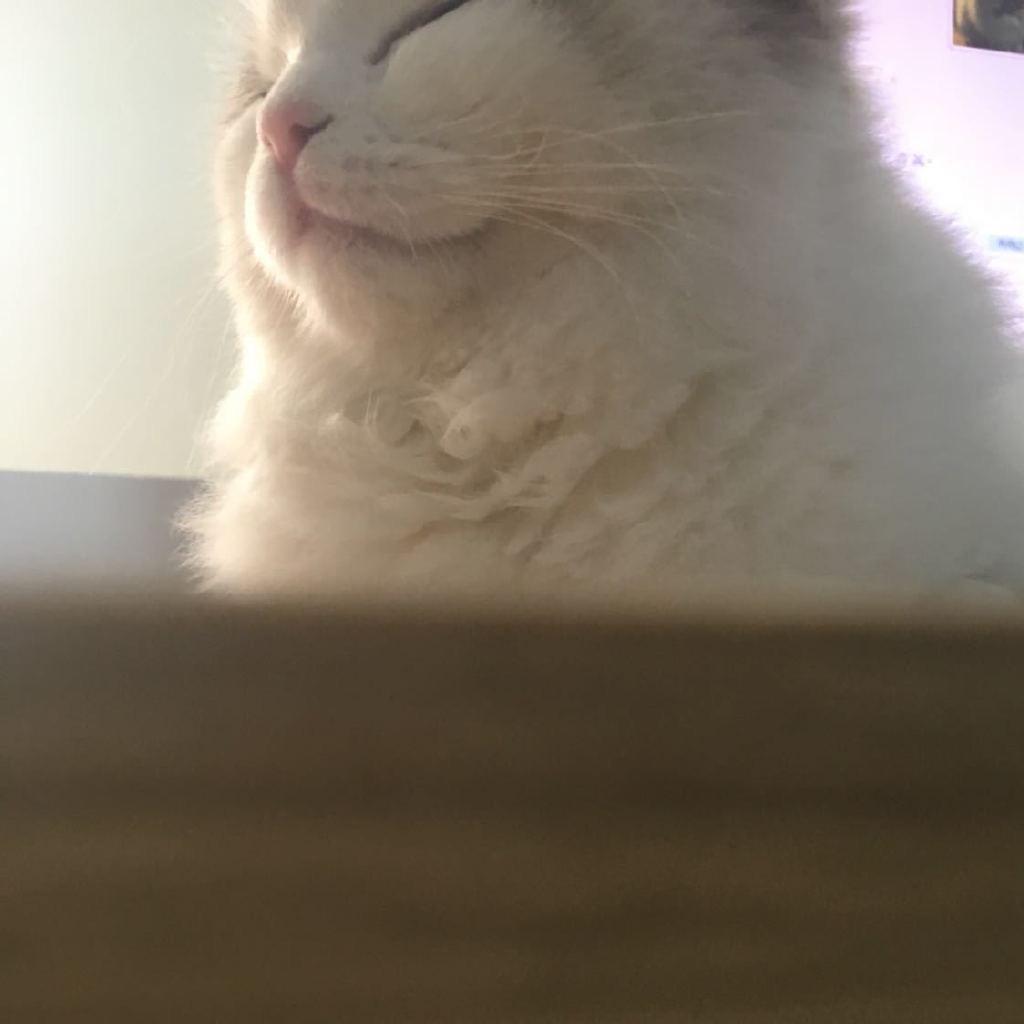 己个云
