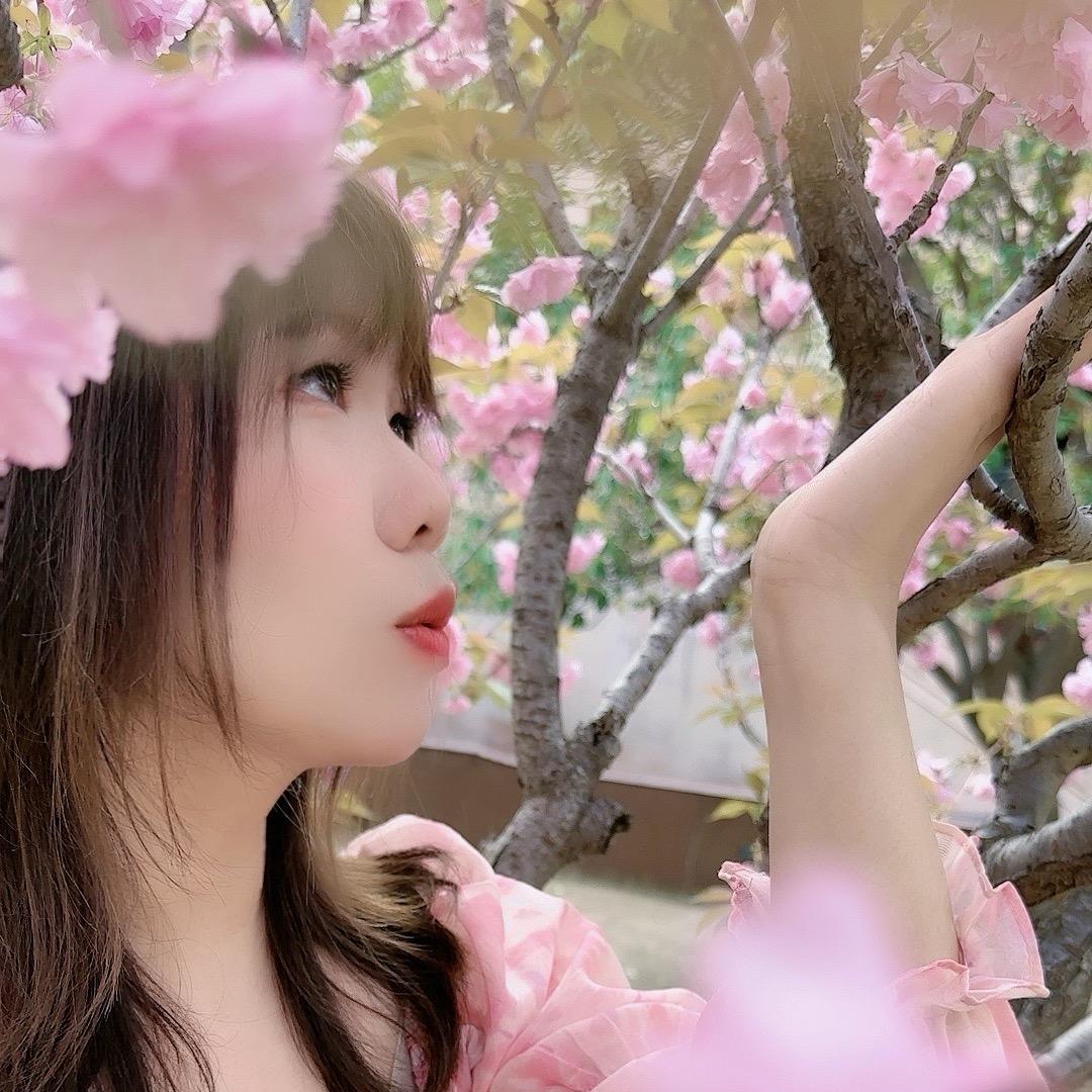 洛阳花儿