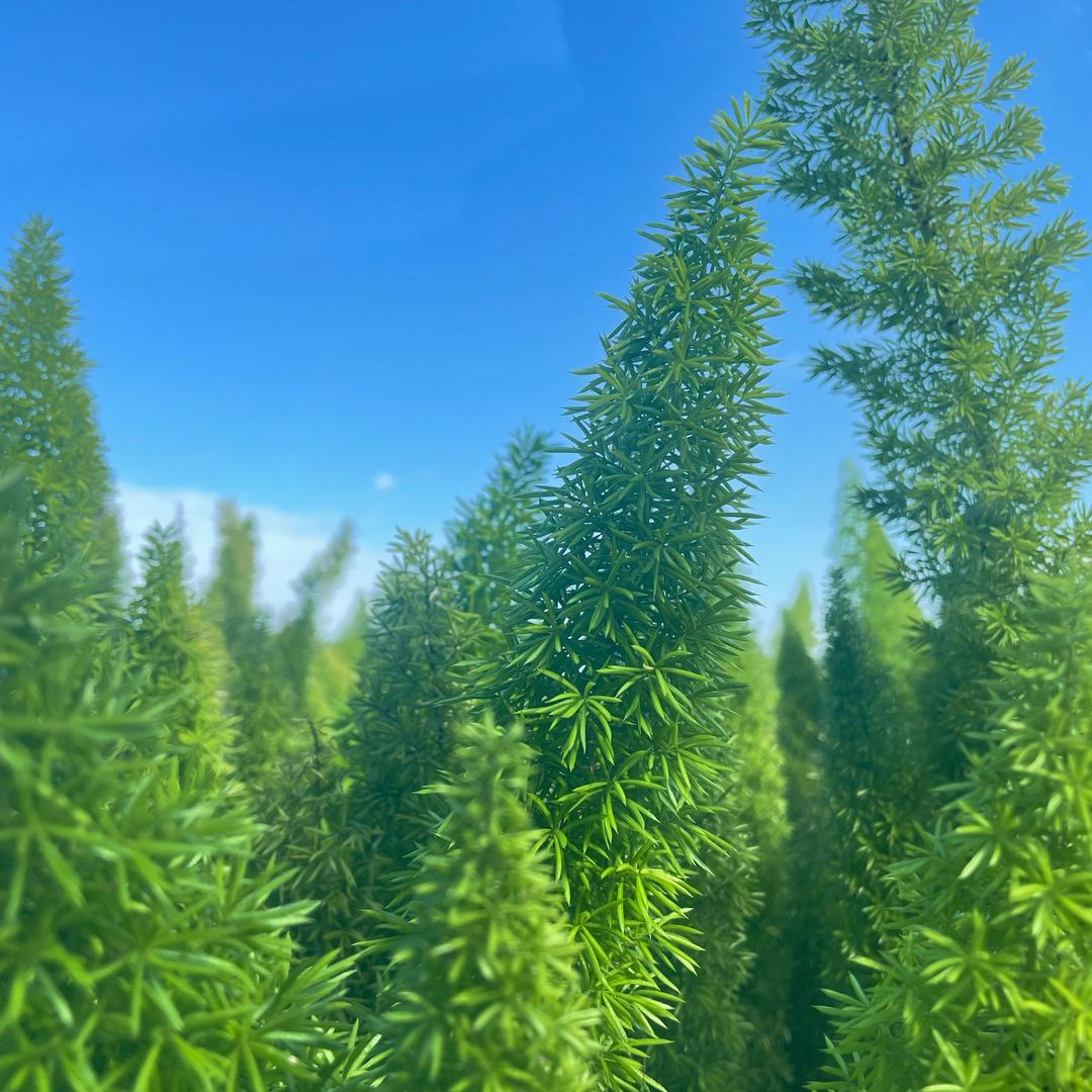 ❎️追梦人