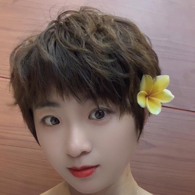 诺菲尔🌷梦想成真