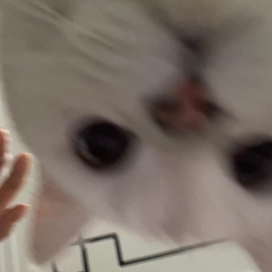 我是辣椒油