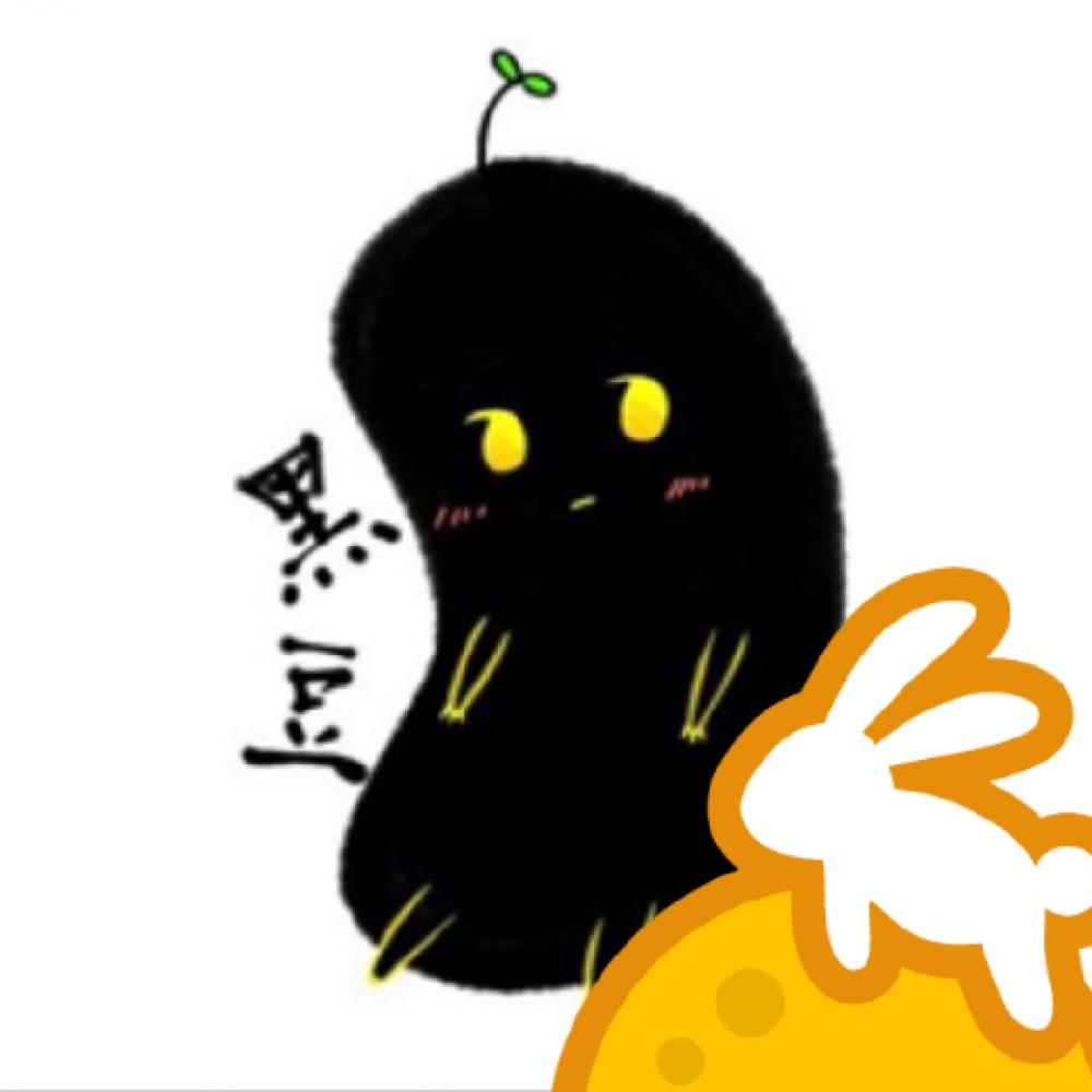 黑 豆豆
