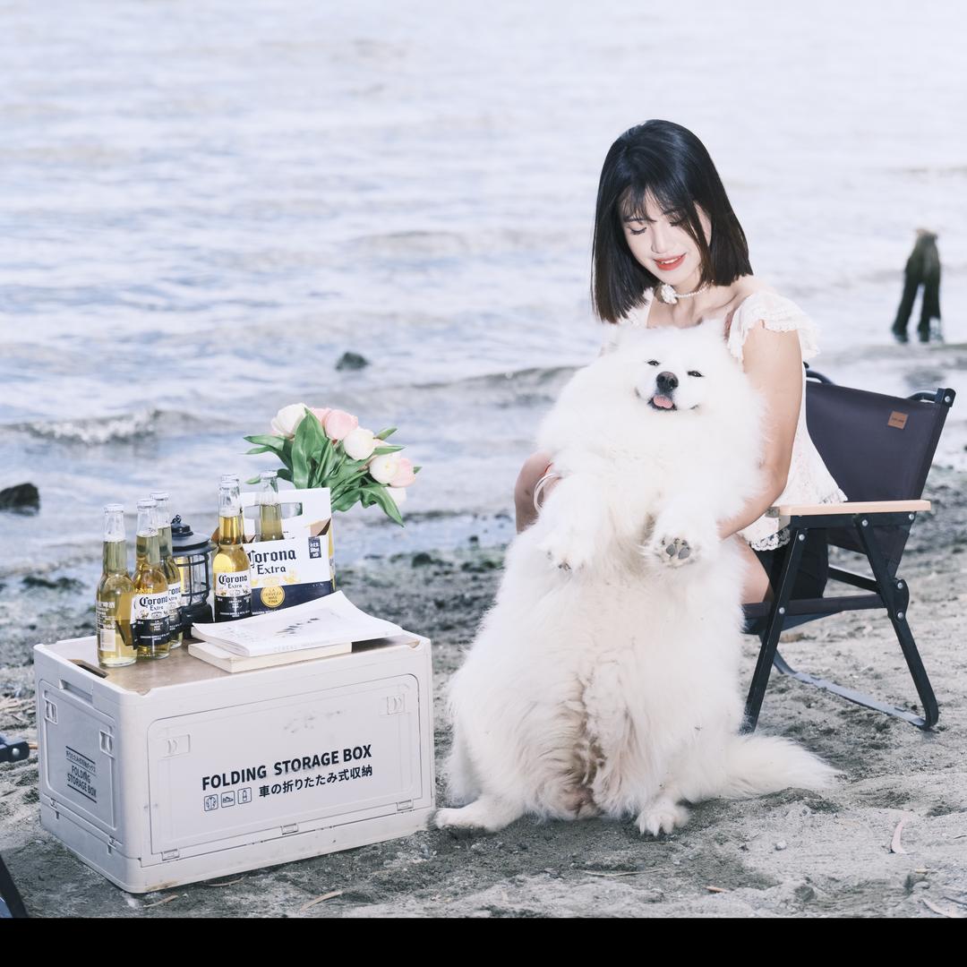 🐒不会骑车的猴早早（八方来财）