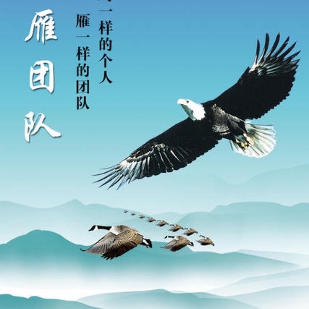 强鹰🦅与时俱进！