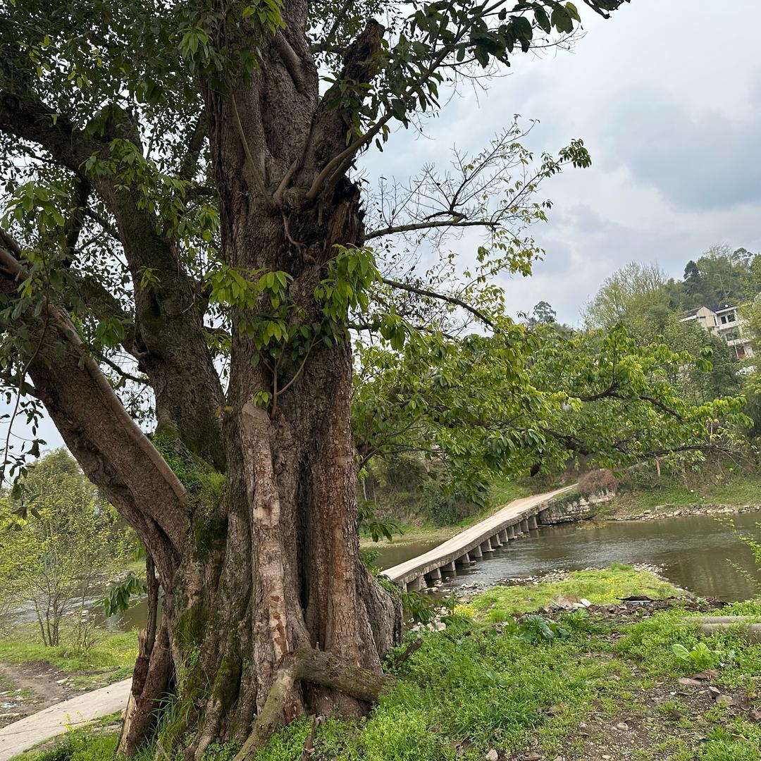 小胡子户外（赶集）