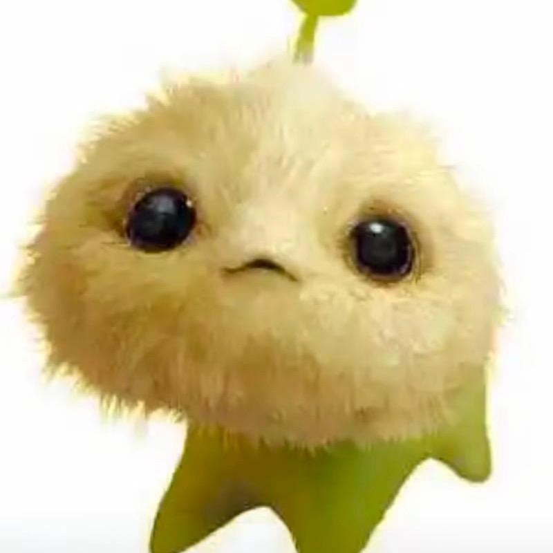 理利真