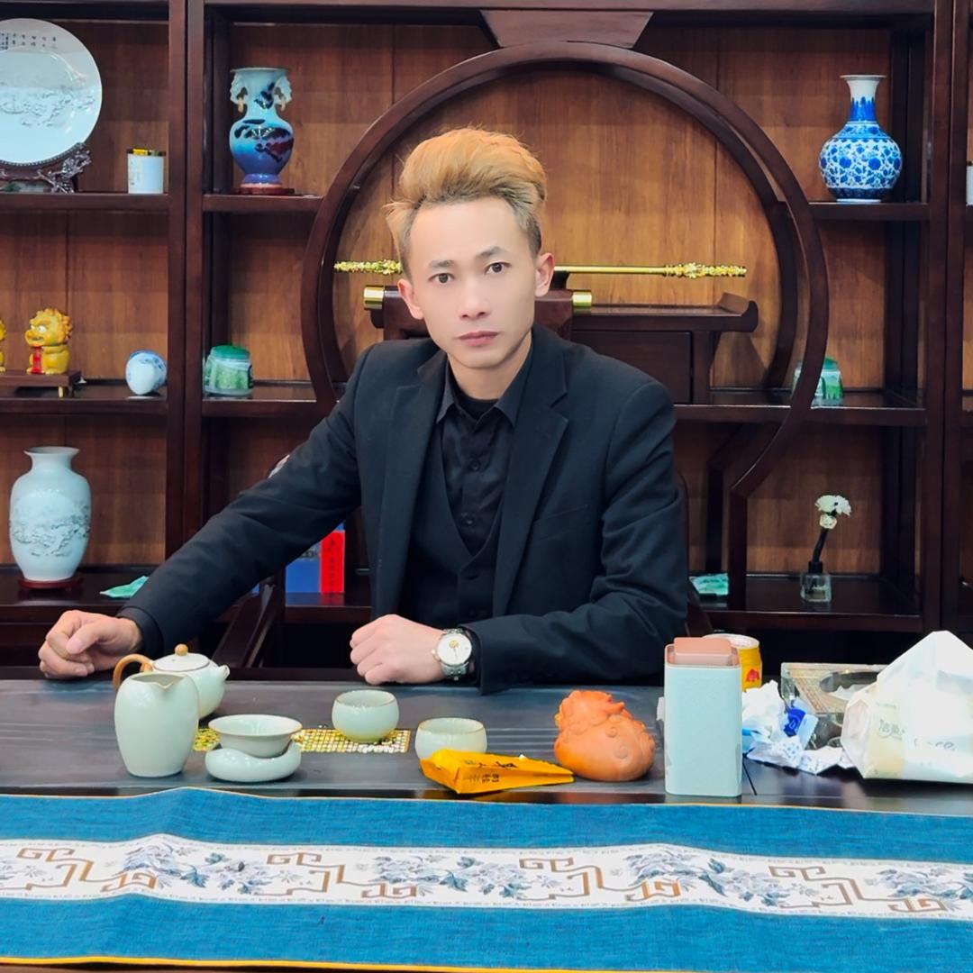 龙少【雷厉风行】