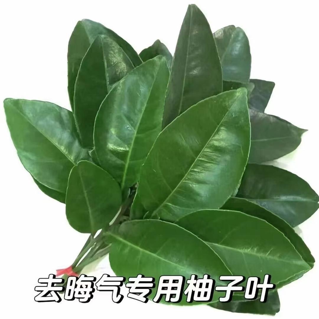 玫瑰花.