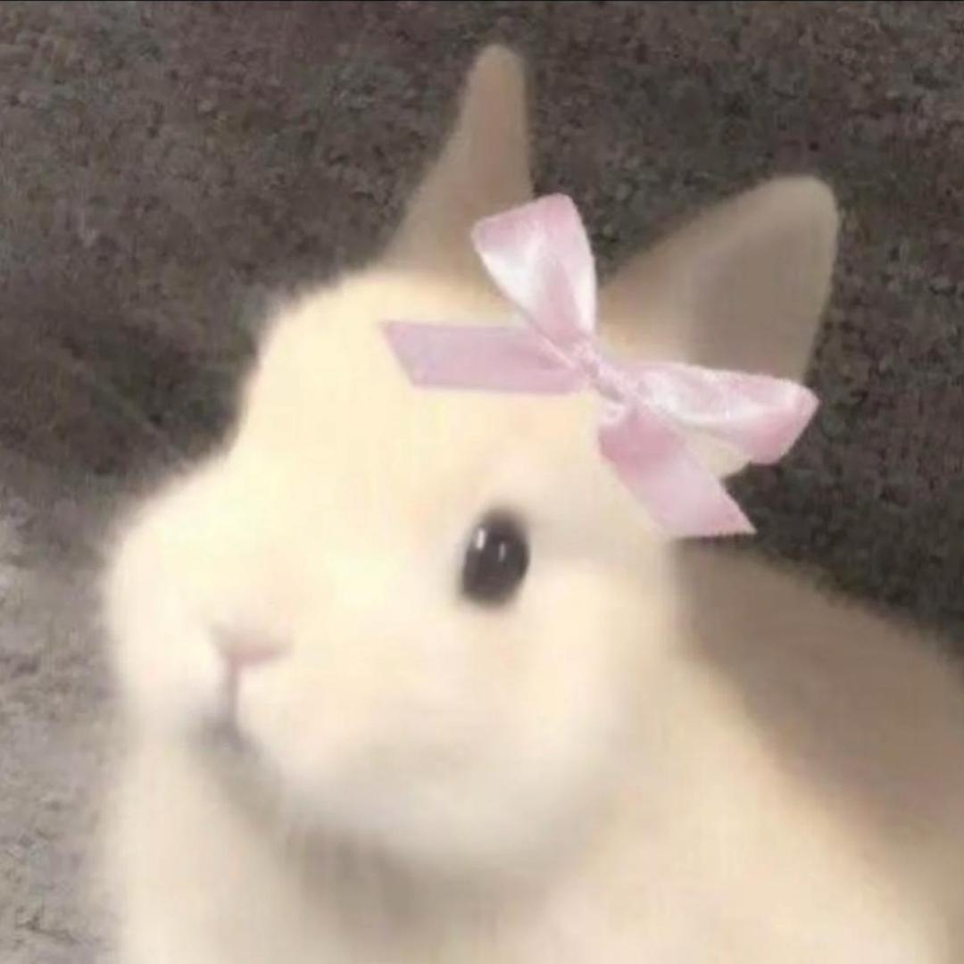 一口一个