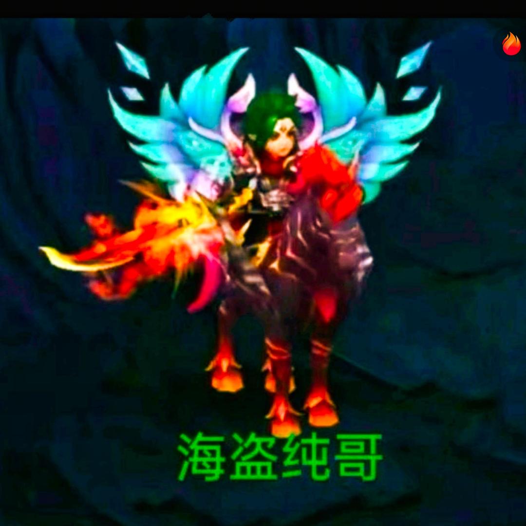 海盗纯哥