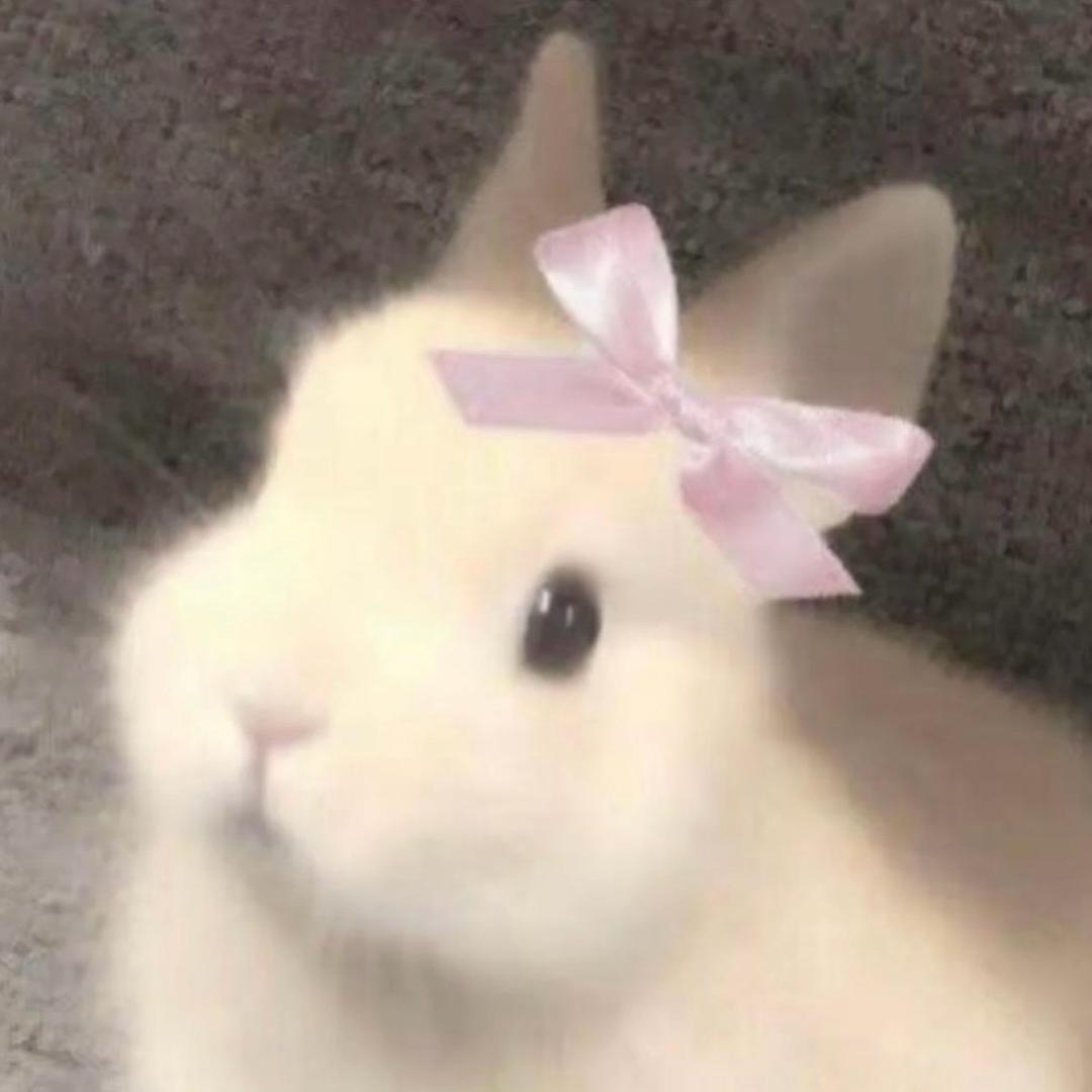 屁