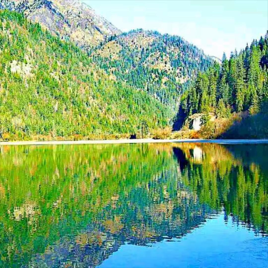 源头洗护供应链