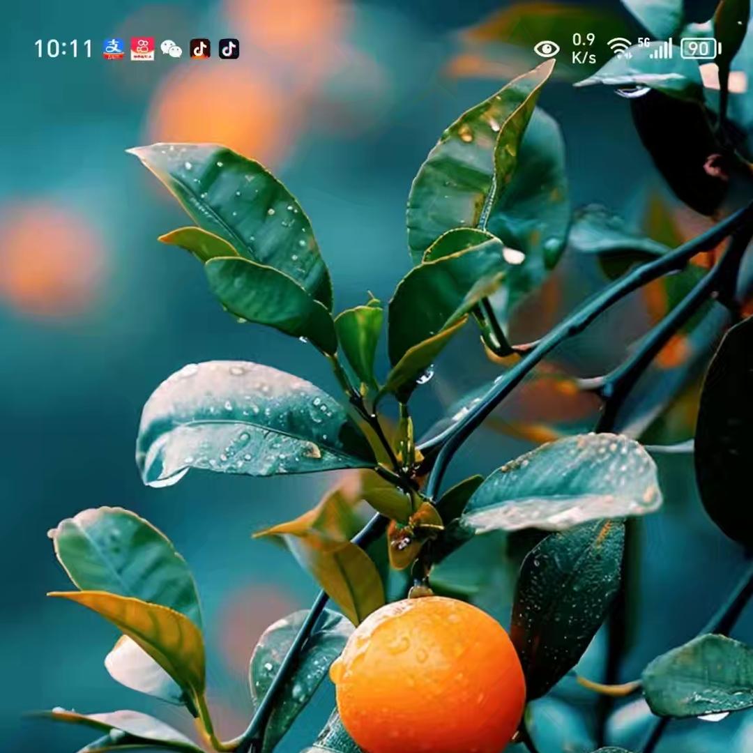 简阳金聚果树苗木臻选阁