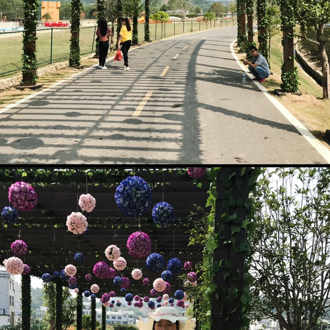 贪吃的小姐姐🧍‍♀️