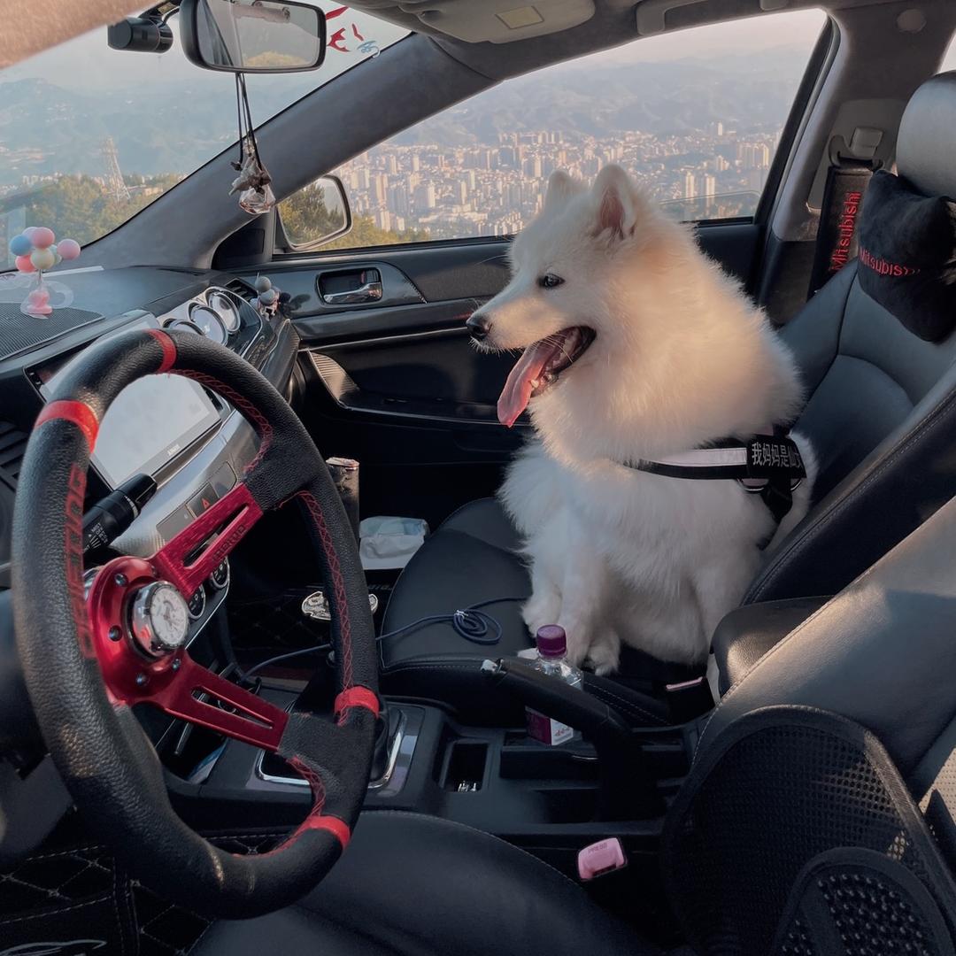 高桥凉拌面🚗貴H