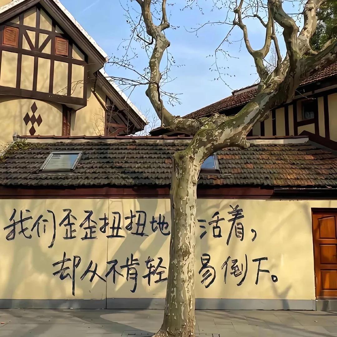 李真棒👍