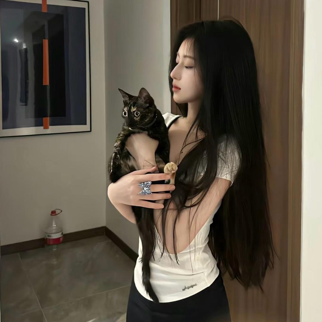 摆烂小猫