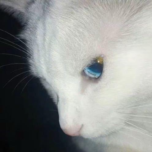 老四朋友圈