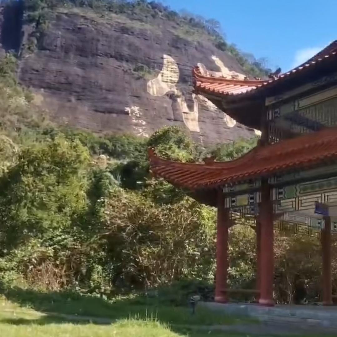 M O（城市过客）