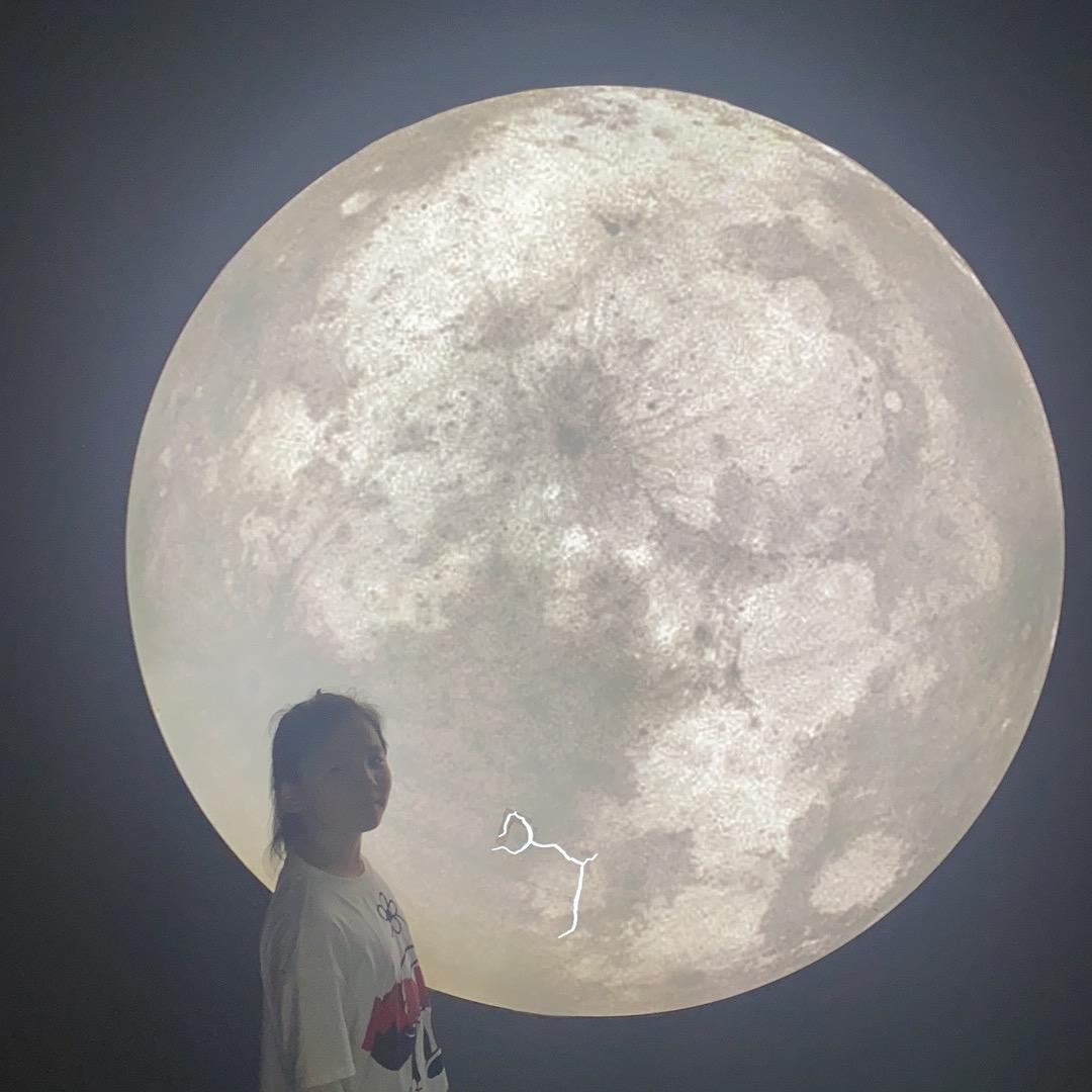 劉洋