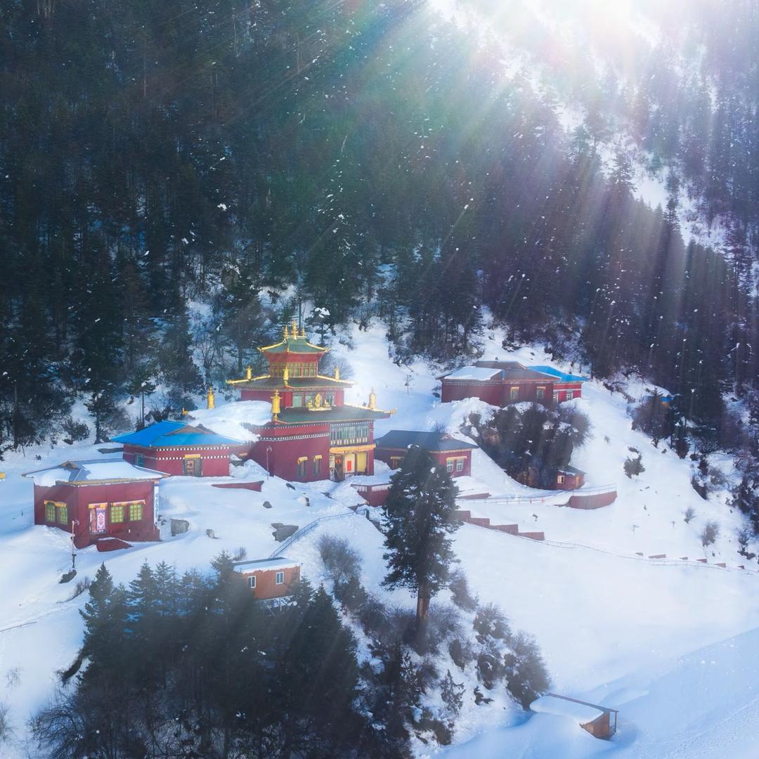 待会去码头整点薯条🍟