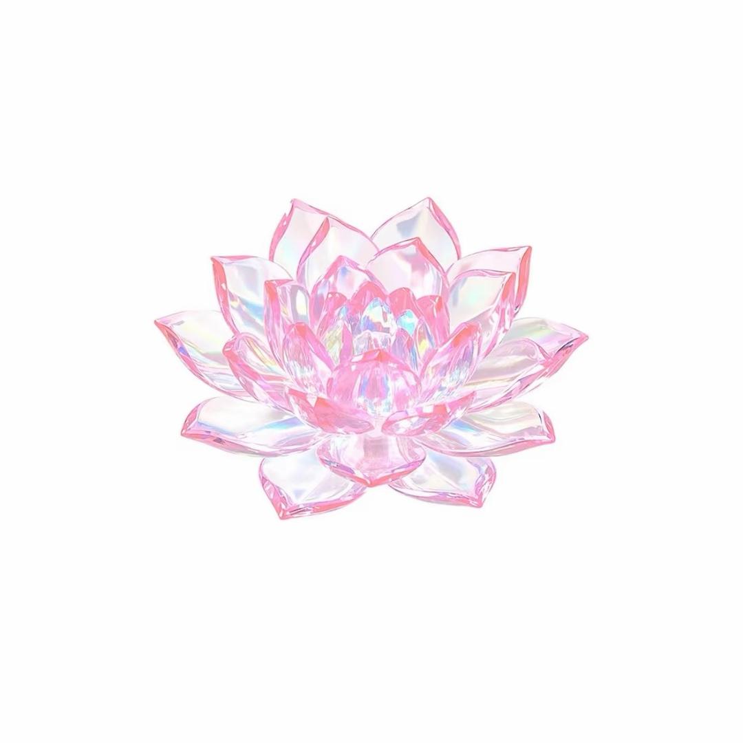 一朵风中摇曳的罗子君