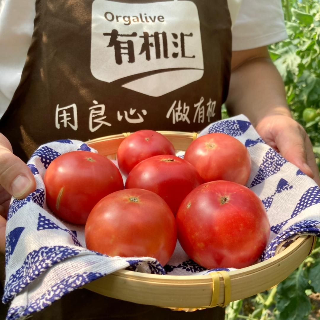 有机汇生鲜旗舰店