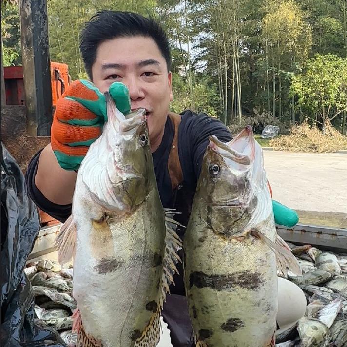 宏村水产旗舰店
