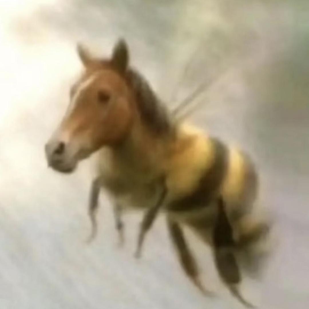 栗椛