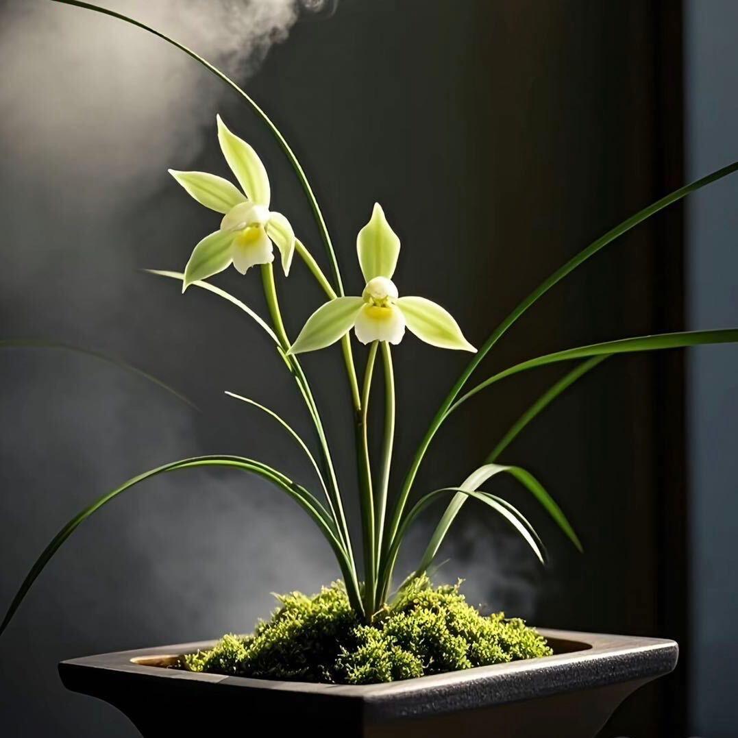 一路生花
