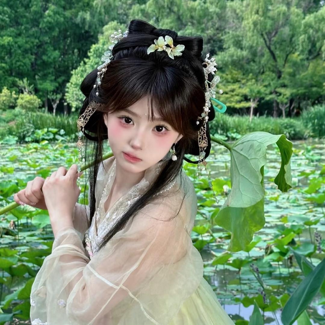 龙宝宝