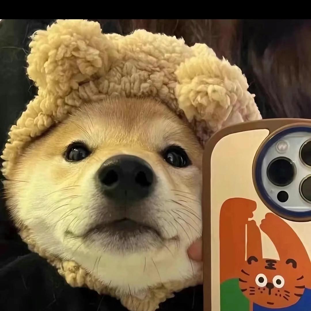 冷酷小狗