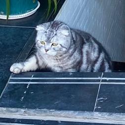 华杰｜设计｜达錡