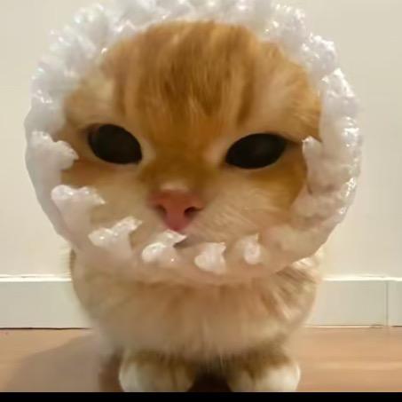 🍩_._🍩