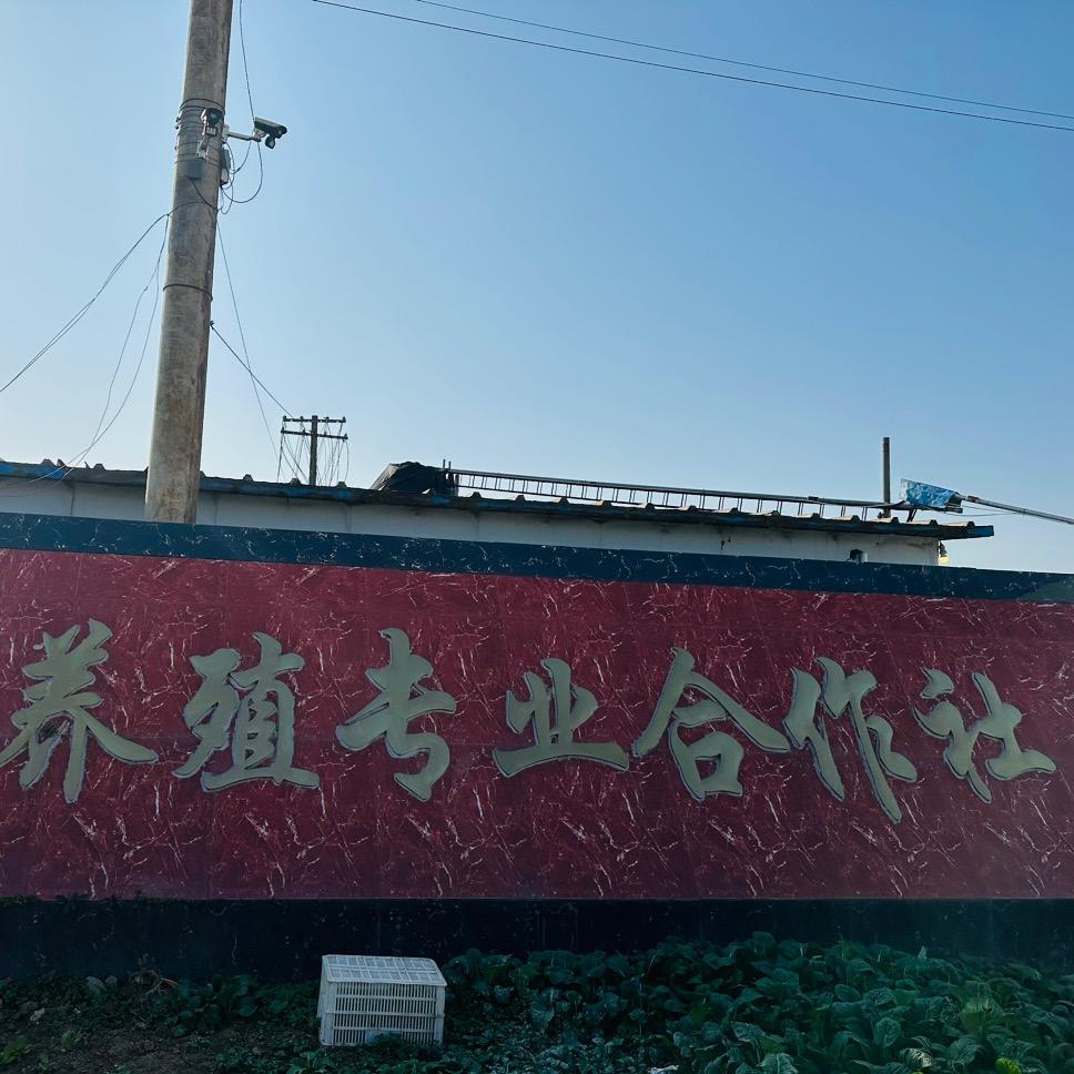 农村专业养殖合作社