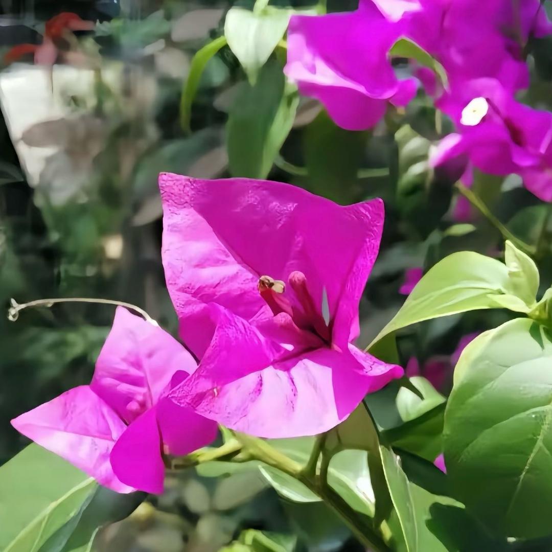 小小点