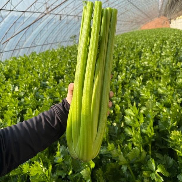 鸿兴顺农副产品有限公司