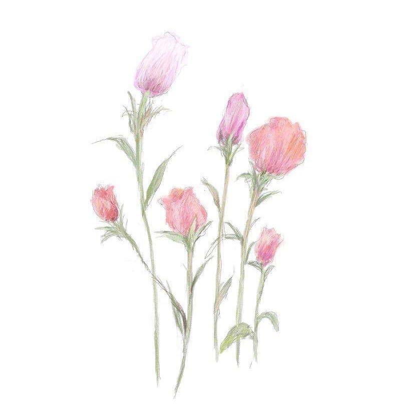 朱 朱