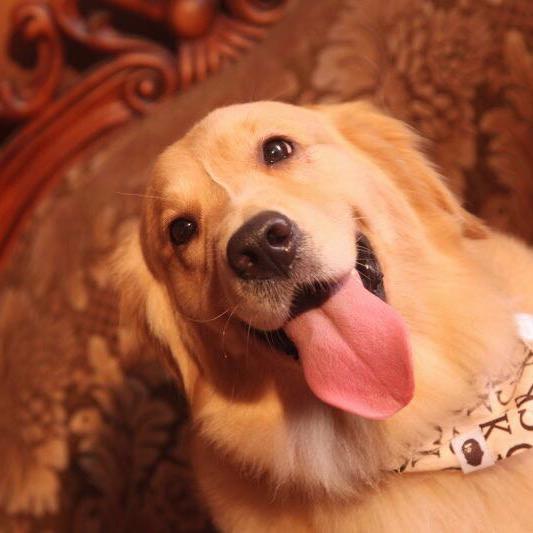 🎀周大毛的日常生活🎀@抖音