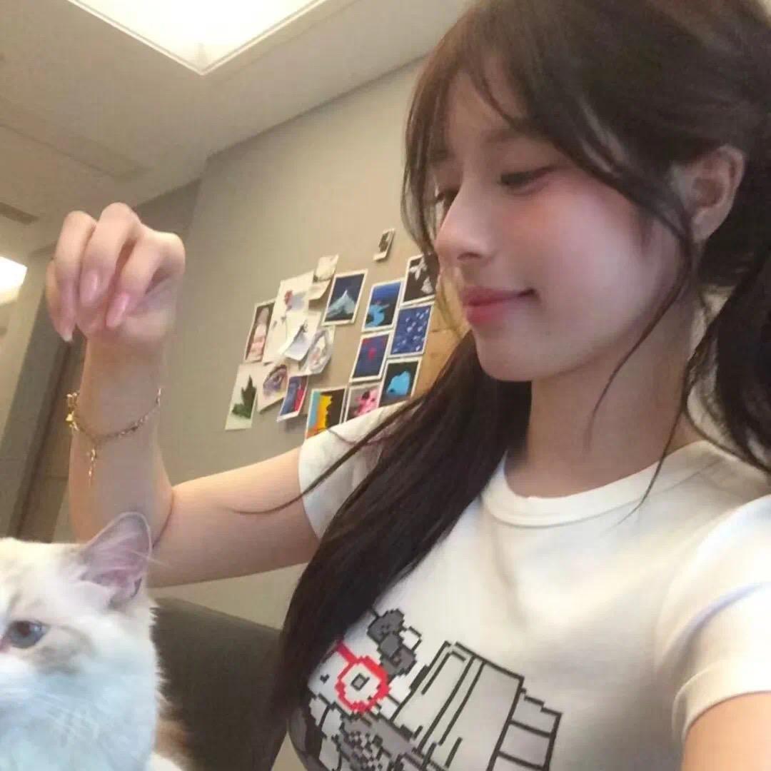 1-小Q